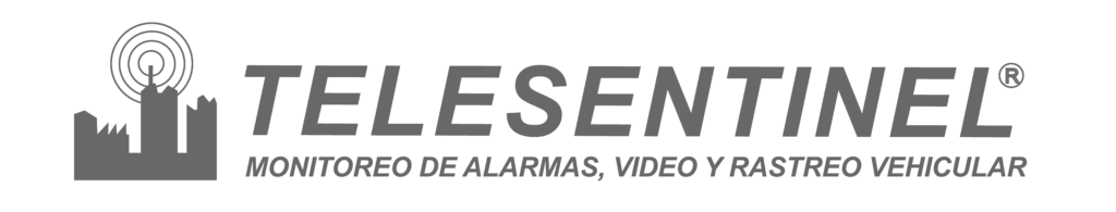 Logo Telesentinel Gris